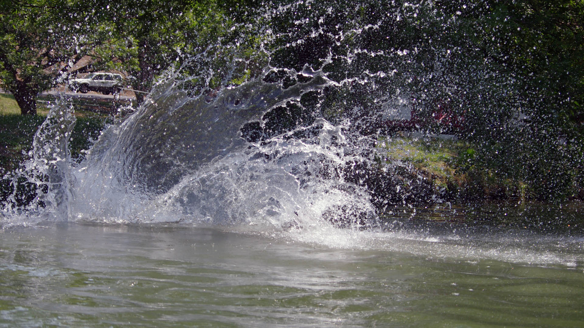 River Dogs – Texas River Bum1920 x 1080