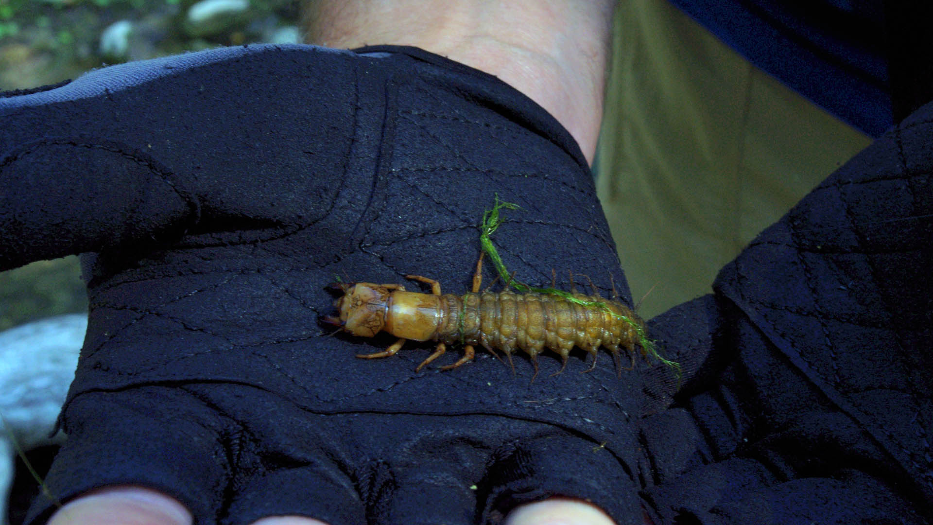 What Lies Below – Texas River Bum